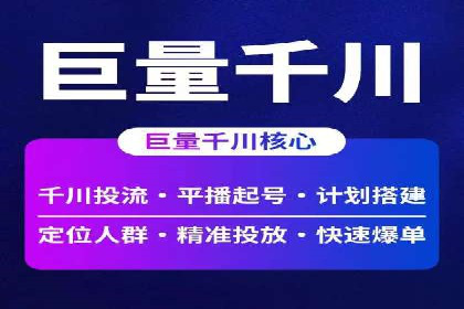 百度竞价广告的成功之路：企业运营案例集